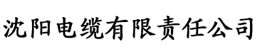 91香蕉视频tv电缆厂logo